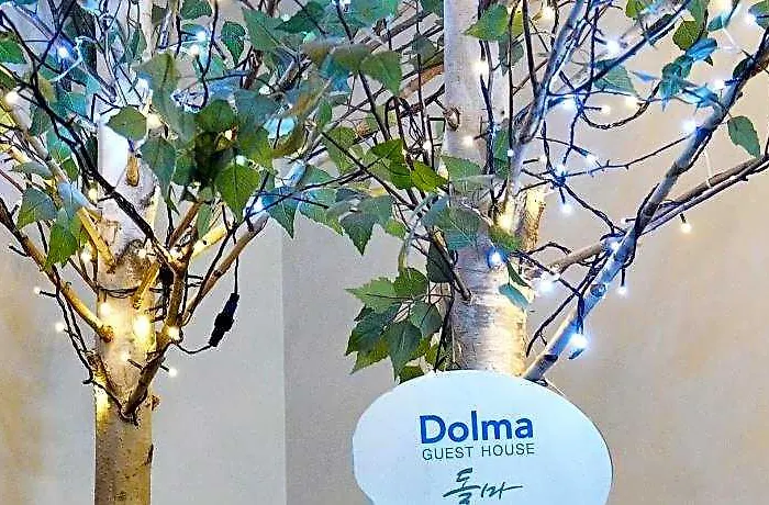 Dolma Hongdae 2* Seúl